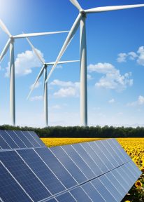 Solarplatten mit Sonnenblumenbeet und Windmühlen im Hintergrund.

Solar panels with sunflowers and windmills in the background.